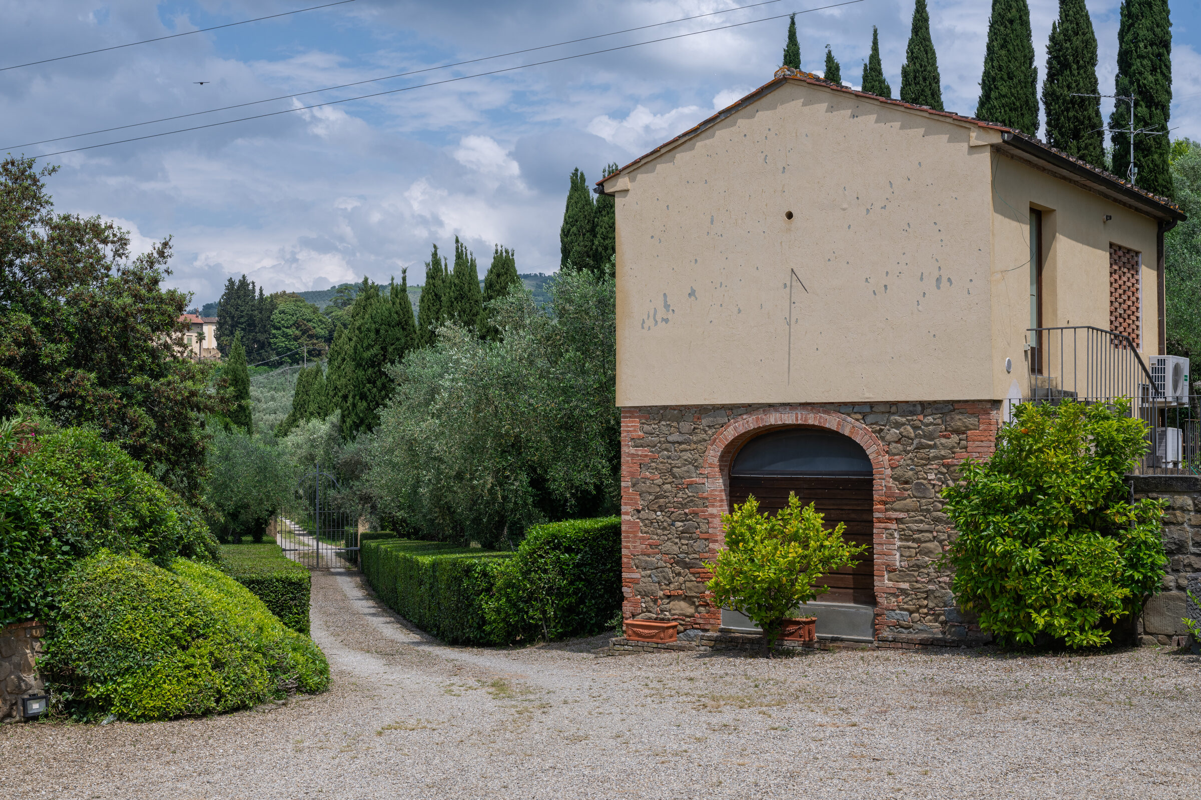 Cypress-lined driveway